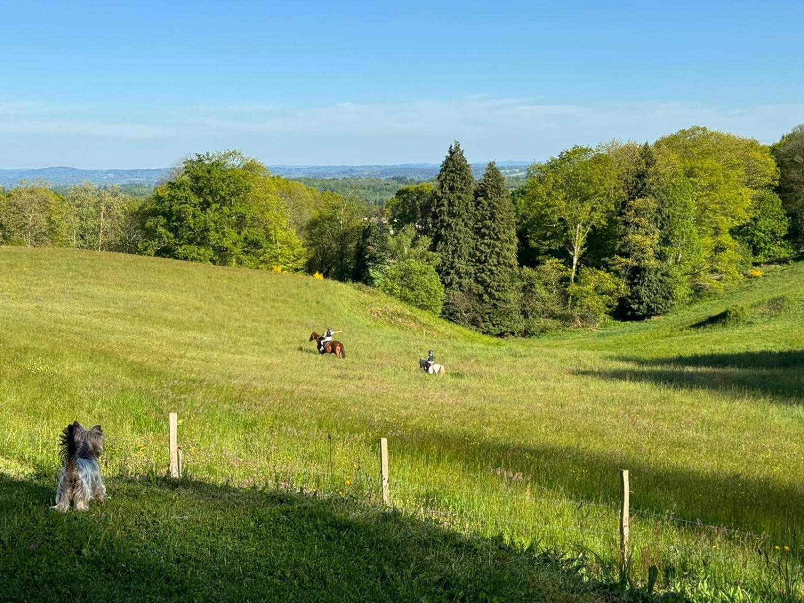 Domaine De Montmery Sa Piscine Son Jardin Ses Espaces Ambazac Buitenkant foto