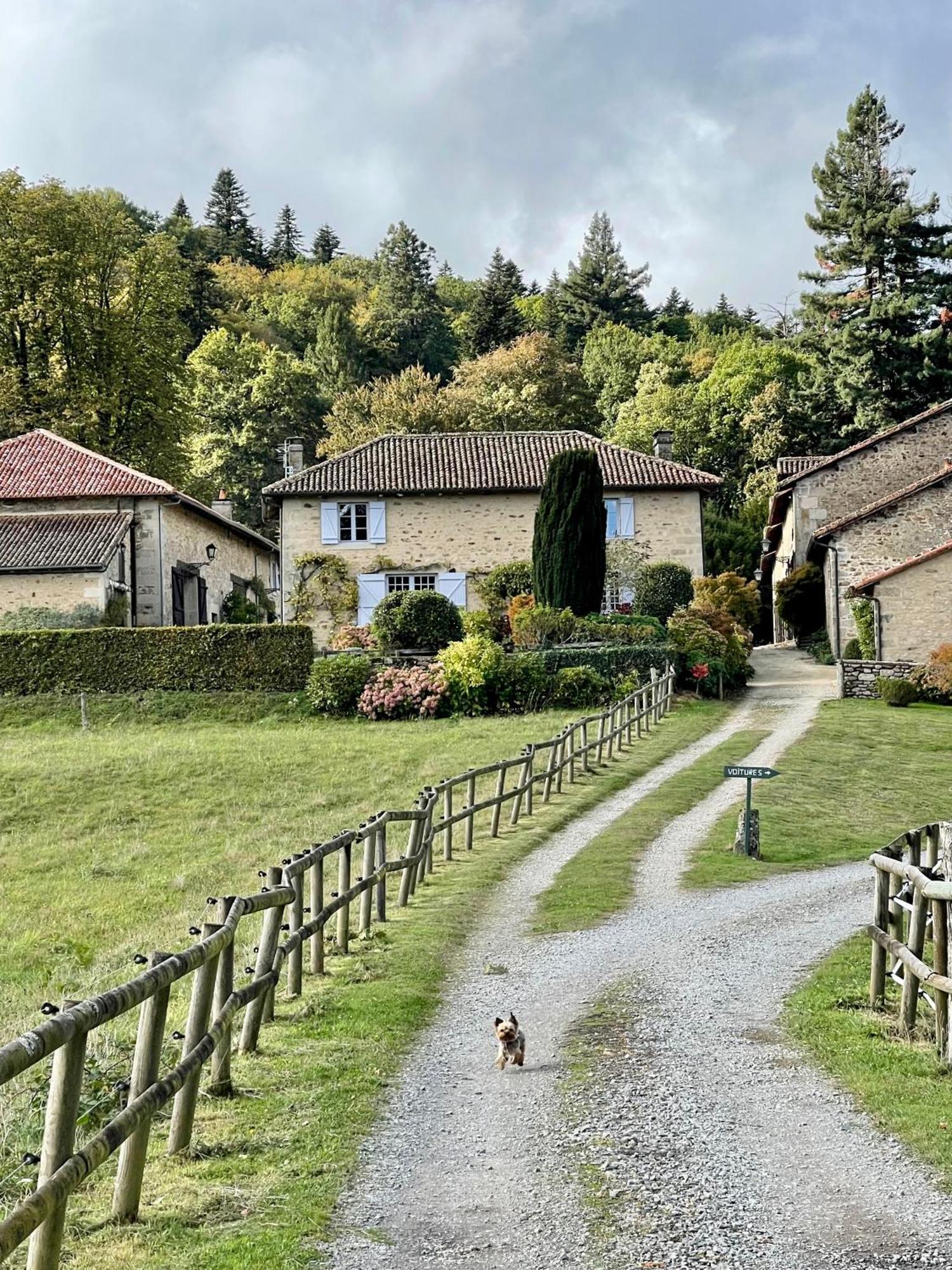 Domaine De Montmery Sa Piscine Son Jardin Ses Espaces Ambazac Buitenkant foto